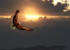 message de l'aigle